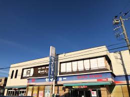 ドラックストア　くすりセイジョー 大和田店（ドラッグストア）まで209m