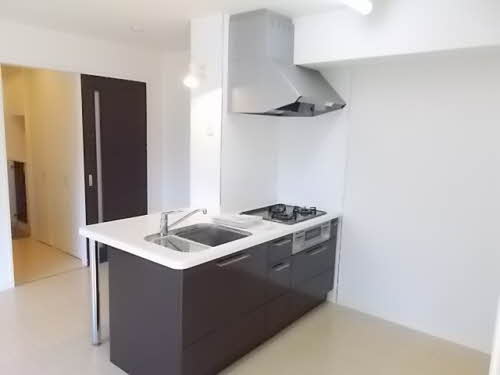 キッチン　同物件、別号室のものです。