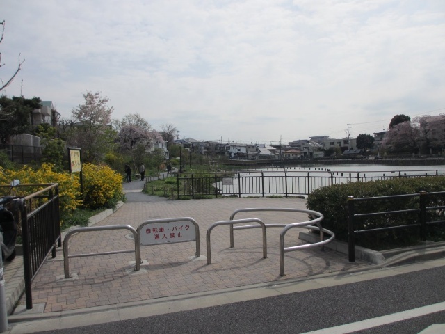 公園　小池公園（公園）まで1324m
