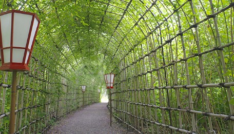 公園　向島百花園（公園）まで312m
