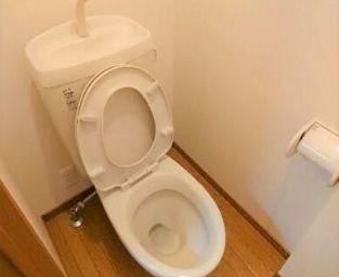 トイレ　※同仕様写真含む