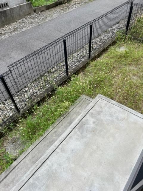 庭