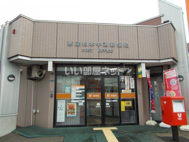 郵便局　恵庭柏木中通郵便局（郵便局）まで550m