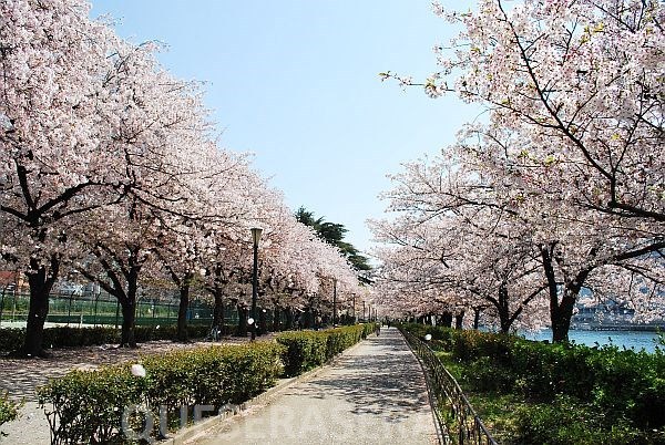 公園　南天満公園（公園）まで512m