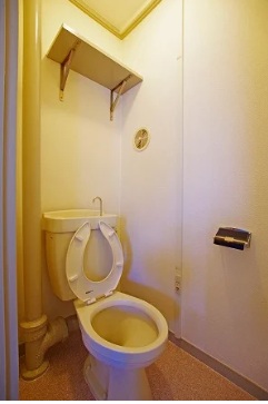 ＪＲ阪和線 日根野駅 徒歩43分 5階建 築50年のトイレ写真