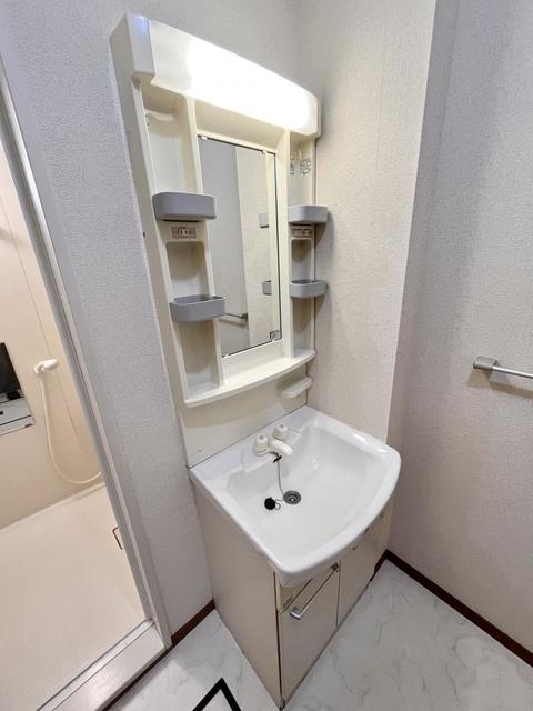 洗面設備　別部屋同タイプ