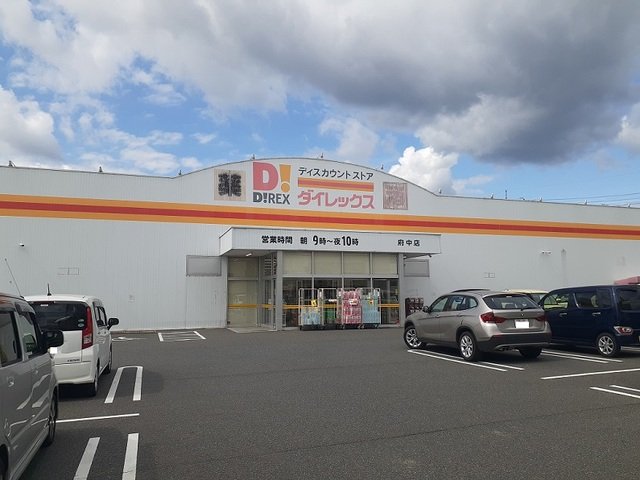 その他　ダイレックス府中店まで700m