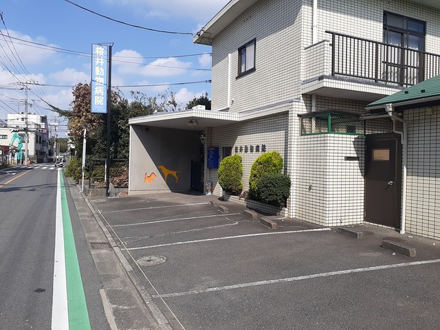 病院　桜井動物病院（病院）まで416m
