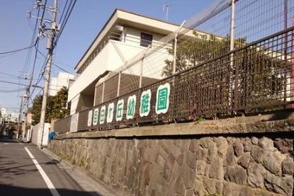幼稚園・保育園　目白ヶ丘幼稚園（幼稚園・保育園）まで890m