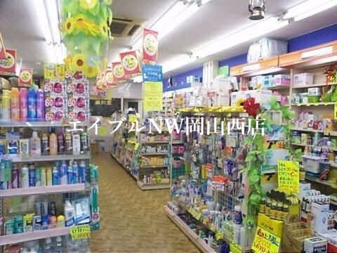 【岡山市北区大安寺東町のマンションのドラックストア】