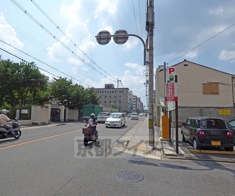その他　目の前の道路です。
