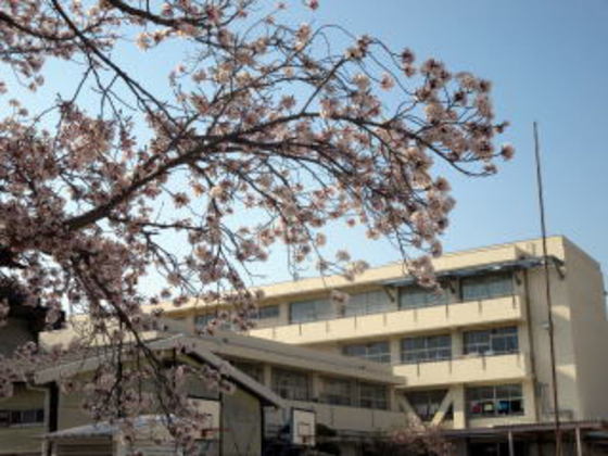 小学校　岡山市立古都小学校（小学校）まで1189m