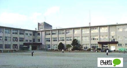 小学校　和歌山市立松江小学校（小学校）まで880m