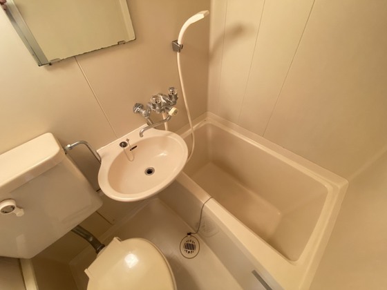 バス・シャワールーム　※別部屋の写真です