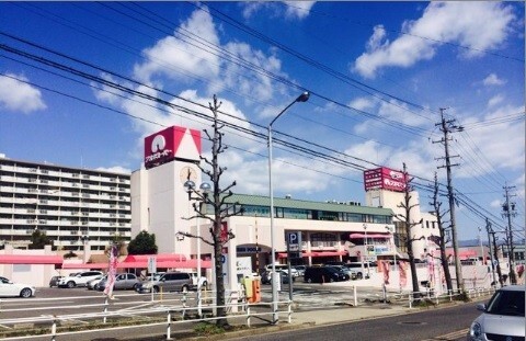 スーパー　アオキスーパー千代が丘店（スーパー）まで558m