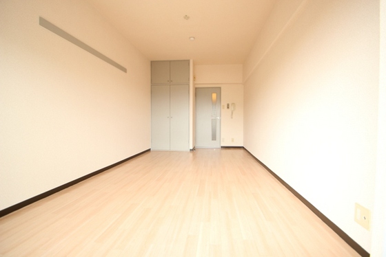 居室・リビング　※別部屋の写真です