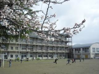 小学校　市立朝陽小学校（小学校）まで730m