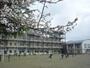 小学校　市立朝陽小学校（小学校）まで730m