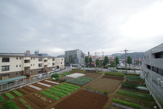 眺望　★お部屋探しはタウンハウジング稲田堤店まで★