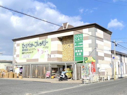 その他　ひごペットフレンドリー 岸和田店（その他）まで698m