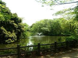 公園　都立和田堀公園（公園）まで340m