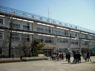 小学校　杉並区立 松庵小学校（小学校）まで581m