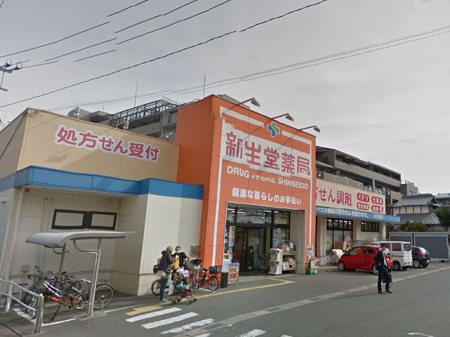 ドラックストア　ドラッグ新生堂 南大橋店（ドラッグストア）まで989m