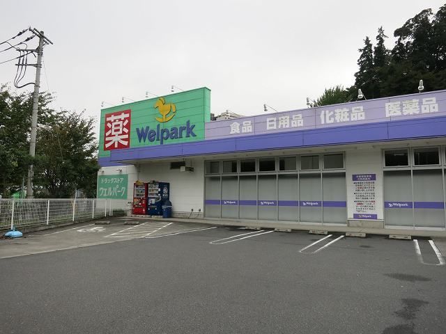 ドラックストア　ウェルパーク（ドラッグストア）まで800m