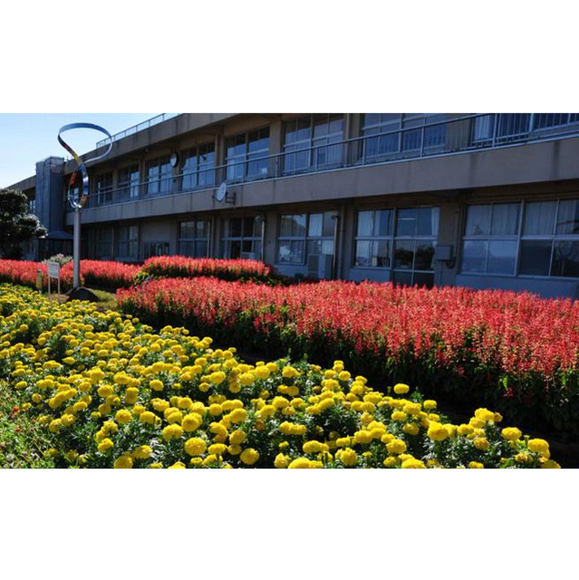 小学校　土浦市立荒川沖小学校（小学校）まで739m