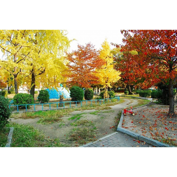 公園　浪速公園（公園）まで538m