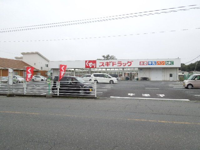 ドラックストア　スギドラッグ 上尾上店（ドラッグストア）まで700m