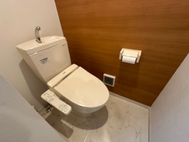 ＪＲ常磐線 柏駅 徒歩16分 2階建 築10年のトイレ写真