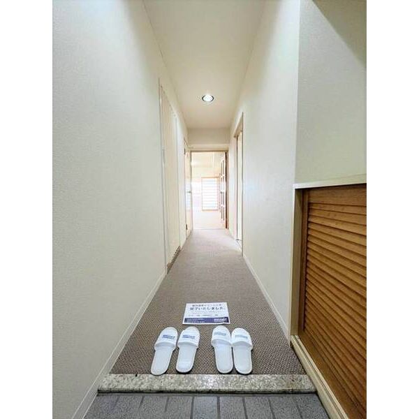 玄関　玄関からの眺め