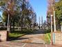 公園　芦原公園（公園）まで1573m