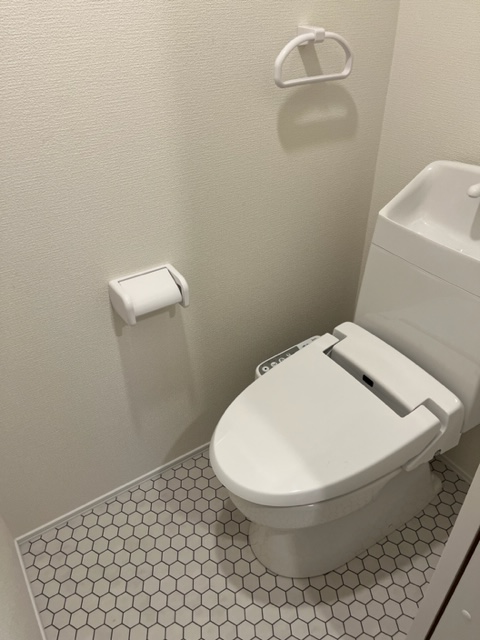 グランドソレイユIIのトイレ写真