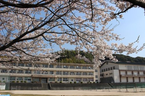 中学校　周南市立桜田中学校（中学校）まで144m