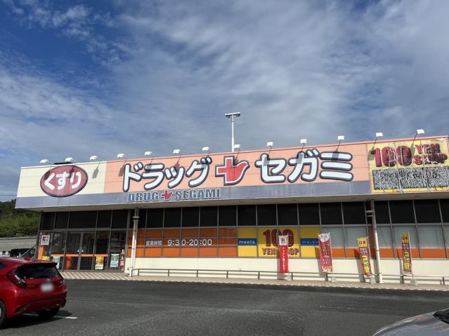 ドラックストア　ドラッグセガミ城東店（ドラッグストア）まで761m