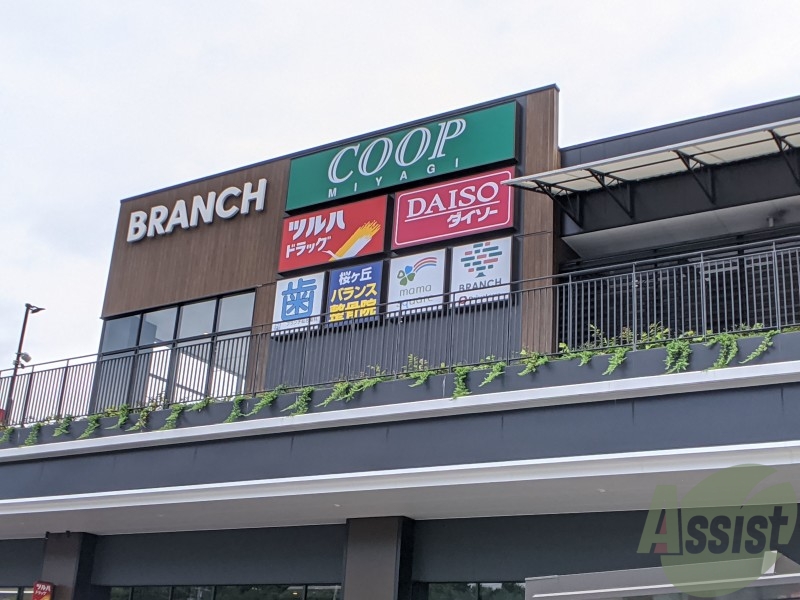 スーパー　みやぎ生協ＢＲＡＮＣＨ（スーパー）まで1193m
