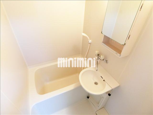 バス・シャワールーム　浴槽スペースです。