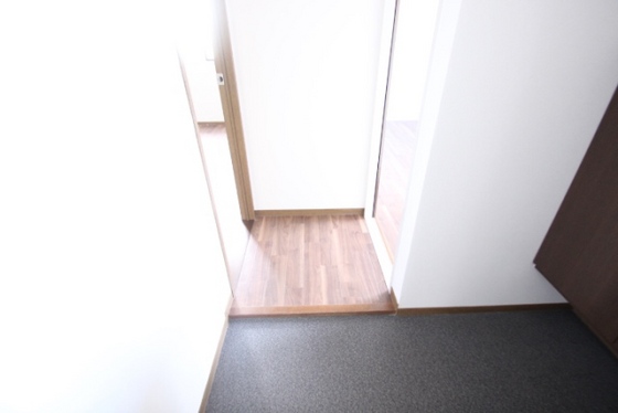 玄関　※他号室お写真となります。