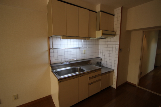 キッチン　※別号室の写真です
