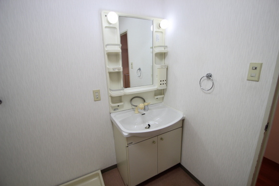 洗面設備　※別号室の写真です