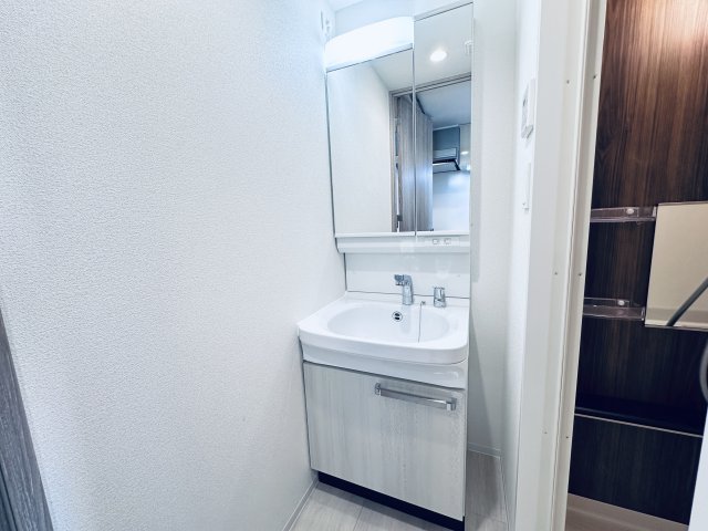 洗面設備　（イメージ）同タイプの写真です。