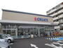 ドラックストア　クリエイトＳ・Ｄ　横須賀追浜本町店（ドラッグストア）まで1000m