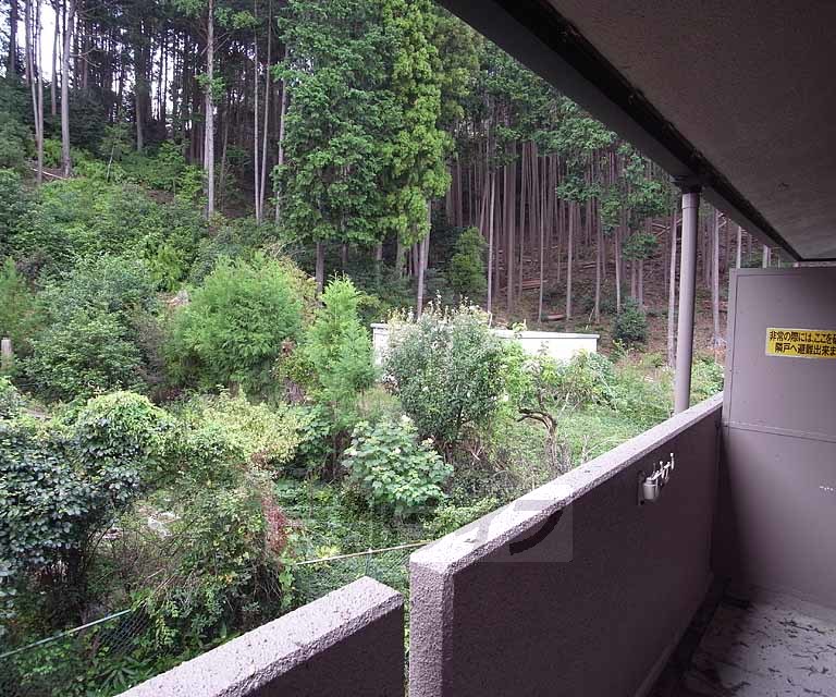 眺望　緑に囲まれてリラックスできますね・