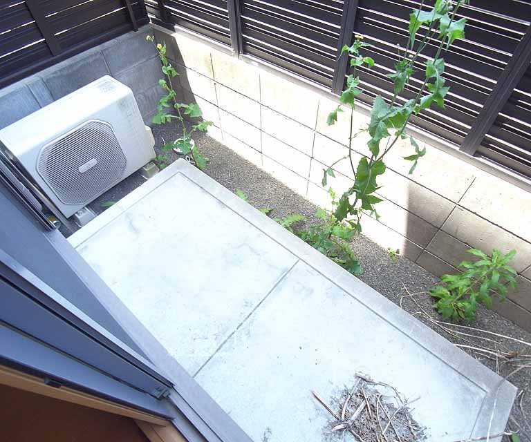 バルコニー　日当りのとても良いバルコニーです！