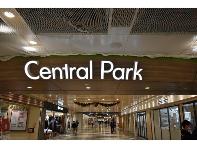ショッピングセンター　セントラルパーク（ショッピングセンター）まで415m