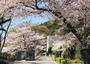 高校・高専　姫路市立琴丘高等学校（高校・高専）まで1307m