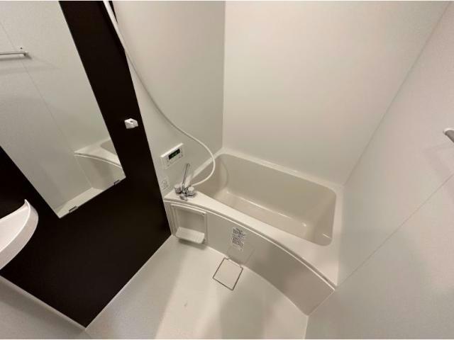 バス・シャワールーム　※別部屋写真