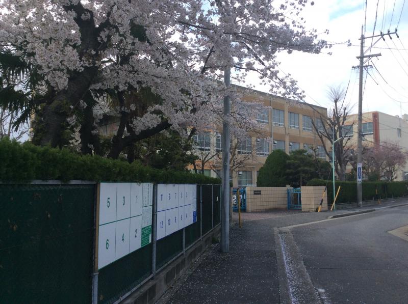 小学校　千成小学校（小学校）まで163m
